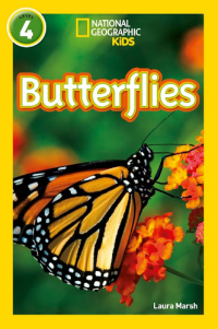 Image of Butterflies