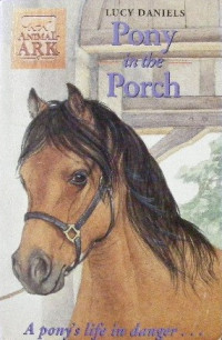 Image of Pony In the Porch