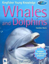 Image of Whales and Dolphins