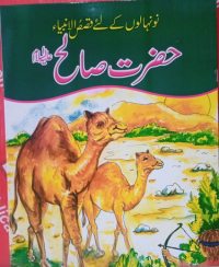 Image of حضرت صالح علیہ اسلام