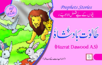 Image of Hazrat Dawood A.S