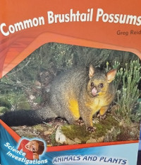 Image of Common Brushtail Possums