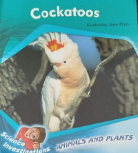 Image of Cockatoos