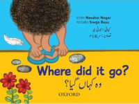 Image of Where Did it Go?