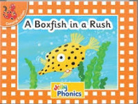 Image of A Boxfish In A Rush