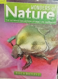 Image of Bugs and Beetles 2