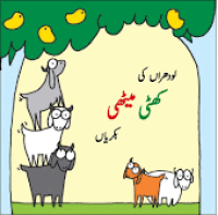 Image of لو دھراں کی کھٹی میٹھی بکر یاں