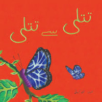 Image of تتلی سے تتلی