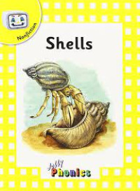 Image of Shells