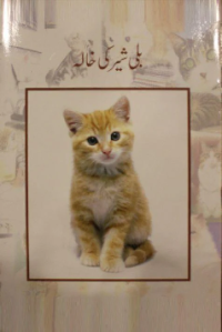 Image of بلی شیرکی خالہ