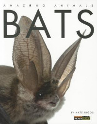 Image of Bats