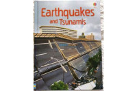 Image of Earthquakes and Tsunamis