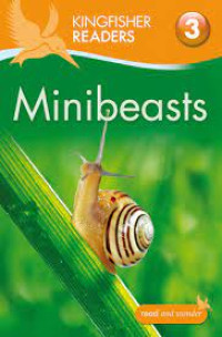 Image of Minibeasts