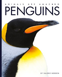 Image of Penguins