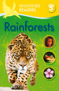 Rainforests
