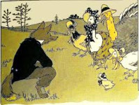 Image of The Story of a Chicken