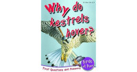 Image of Why do kestrels hover?
