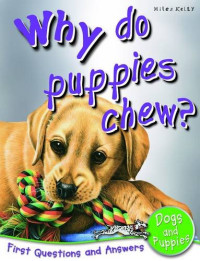 Image of Why do puppies chew?